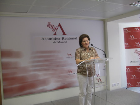 RdasPrensa30mayoCERMI 022